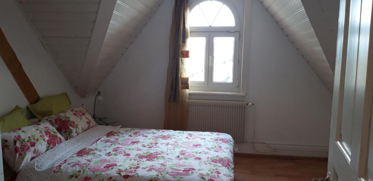 Ferienwohnung Stein Am Rhein Nahe Bahnhof Und Rhein Esterno foto