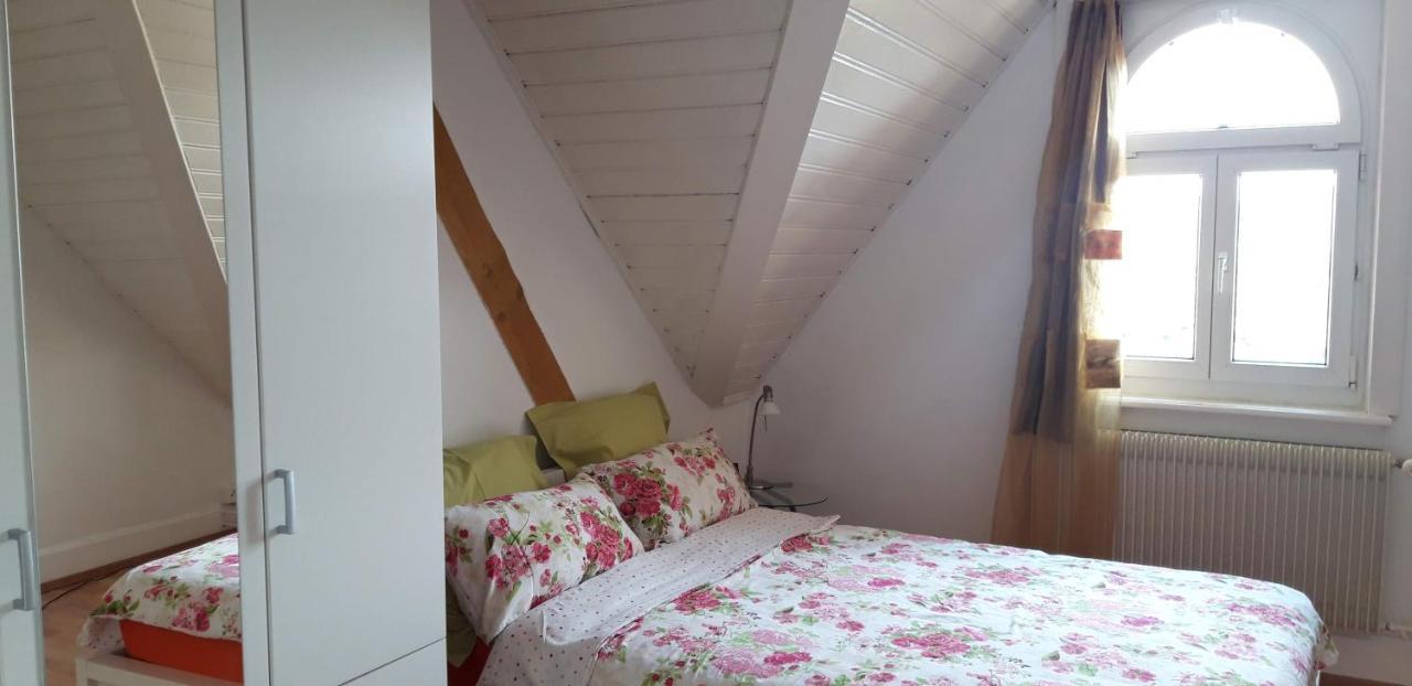 Ferienwohnung Stein Am Rhein Nahe Bahnhof Und Rhein Esterno foto